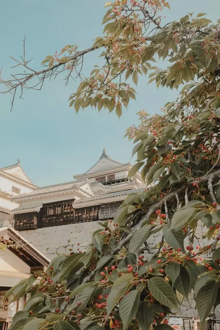 Matsuyama