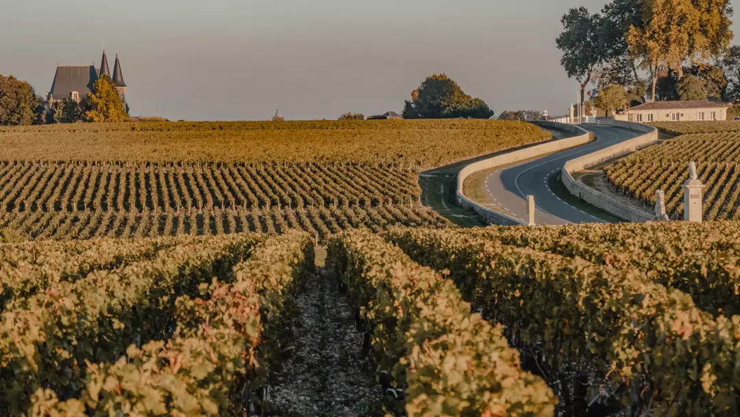 Pauillac (Bordeaux), França